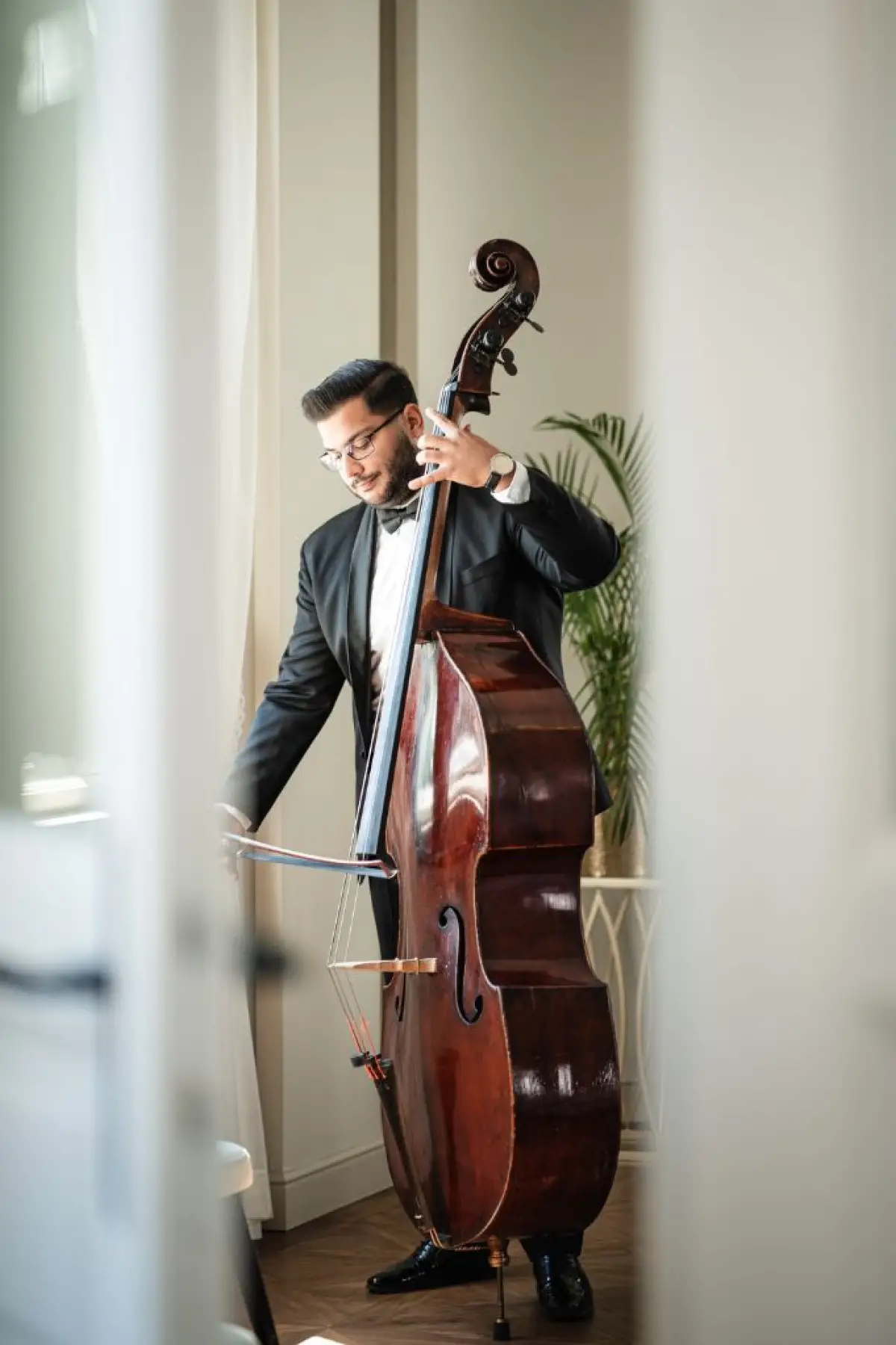 Bóni Andor - nagybőgő