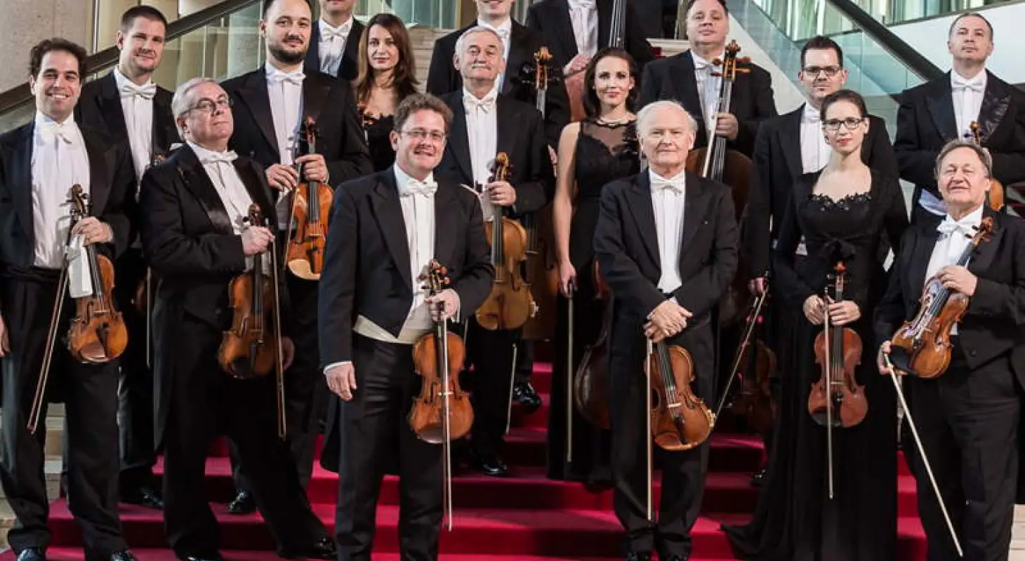 Francia kritika a zenekar fellépéséről